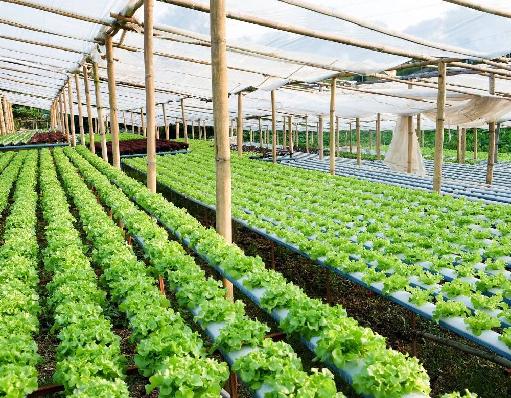 Micro Grids 12 Agro Jaskon Genset